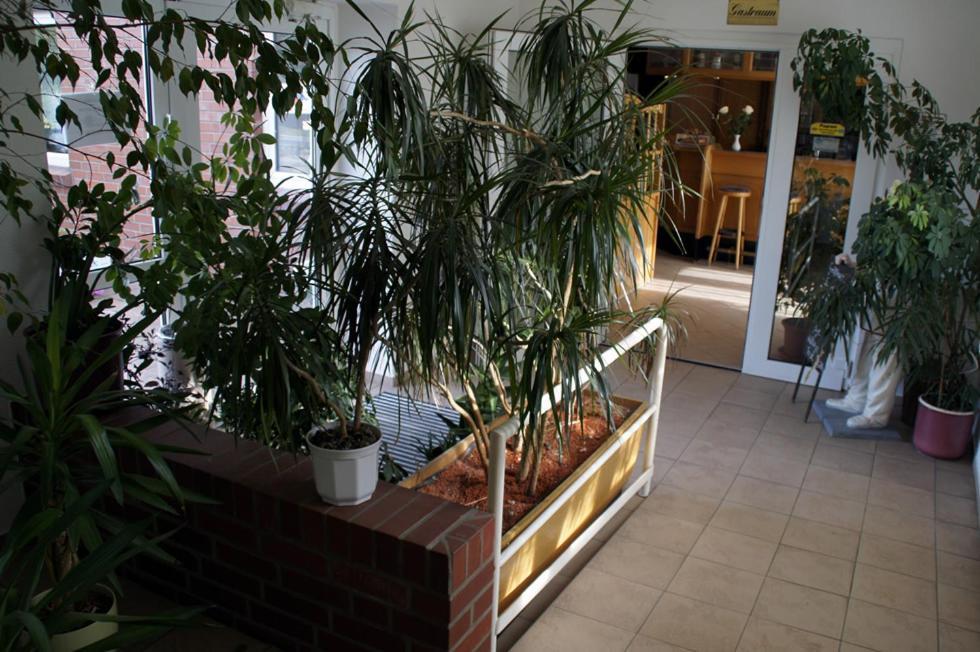 Landhotel Pagram-Frankfurt/Oder Frankfurt  Bagian luar foto